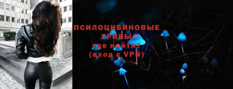 Псилоцибиновые грибы MAGIC MUSHROOMS  Копейск 